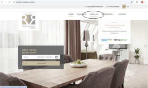 Online Chek-in Guide